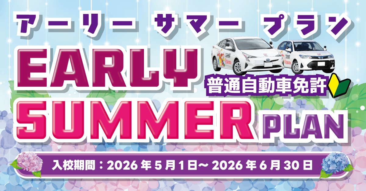 アーリーサマープラン【画像】