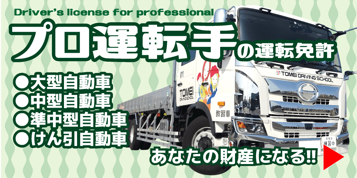プロ運転手の運転免許【画像】