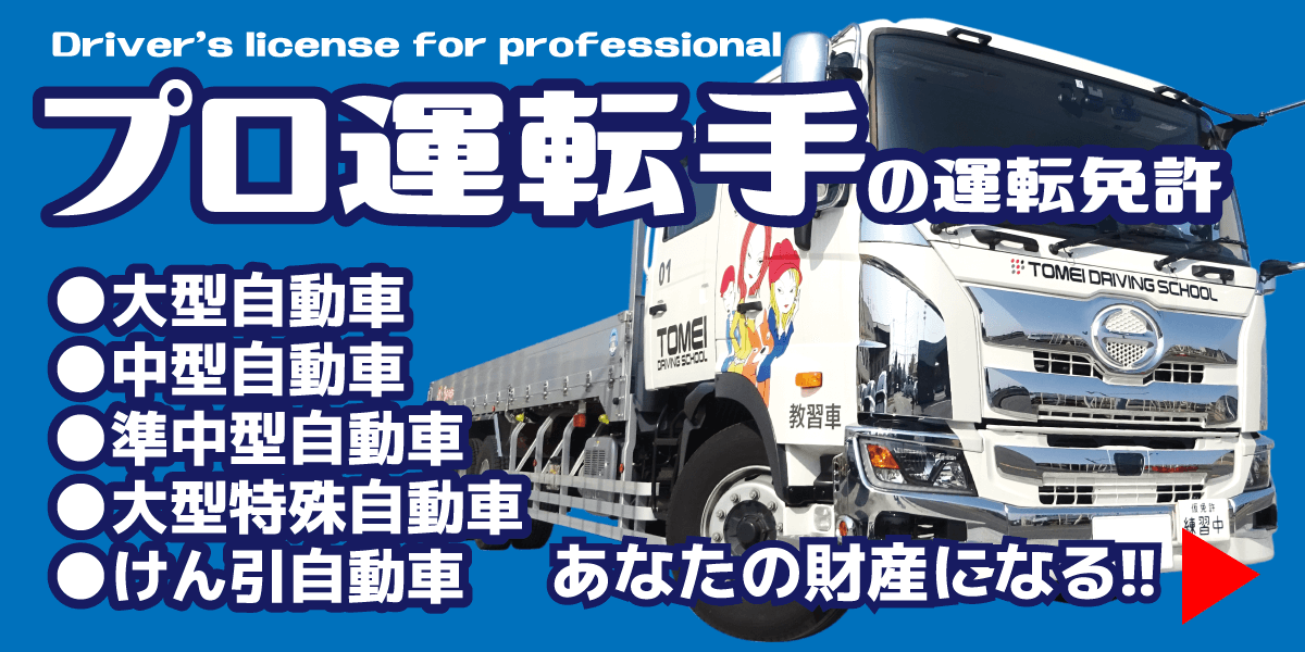 プロ運転手の運転免許【画像】