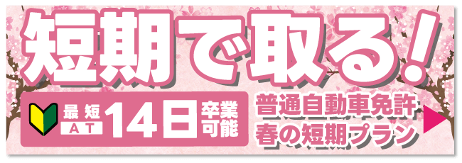 春の短期プラン【バナー】