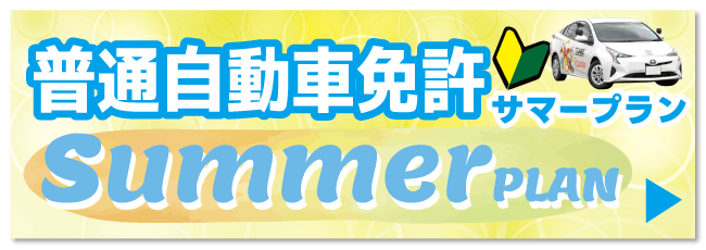 普通車免許。初めて免許を取得する学生・社会人の方にも安心。経験豊富な指導員が、一人ひとりのペースに合わせて丁寧にサポートします。学生の方には、大学や専門学校のスケジュールに合わせた通学相談も行っており、学校帰りにも通いやすい環境です。短期間で免許取得を目指したい方や、アルバイトと両立したい方にもおすすめです。社会人の方にも、ライフスタイルに合わせた教習プランをご案内しています。
