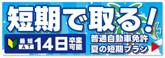 夏の短期プラン【バナー】