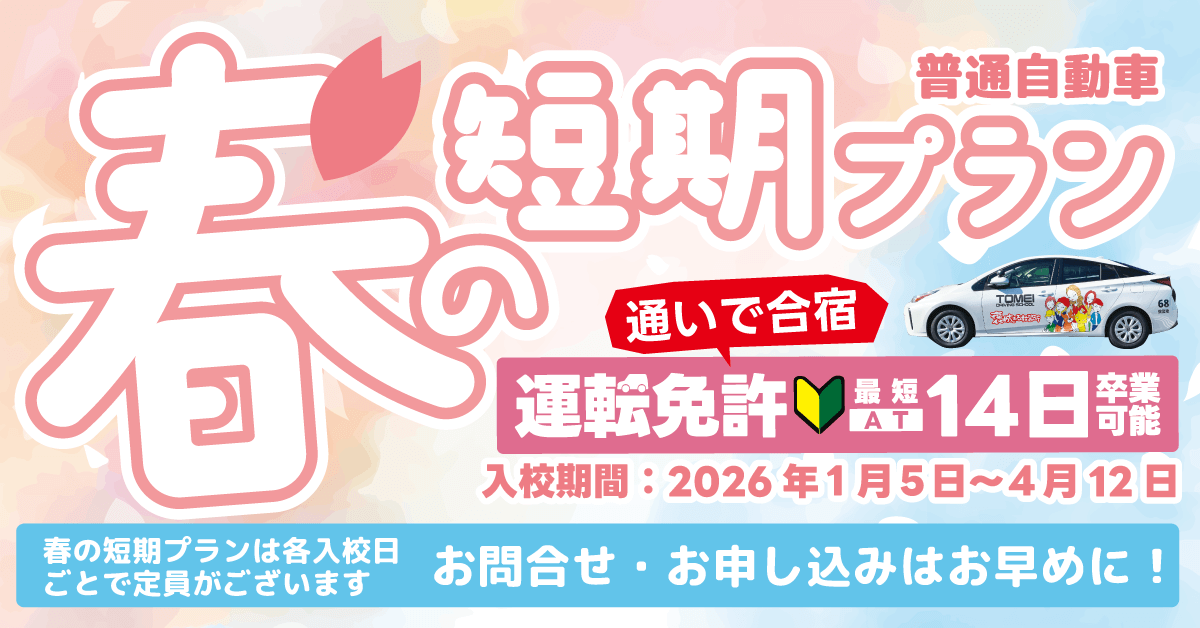 春の短期プラン【画像】